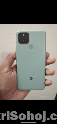 Goggle Pixel 5 Japan Variant (2022)